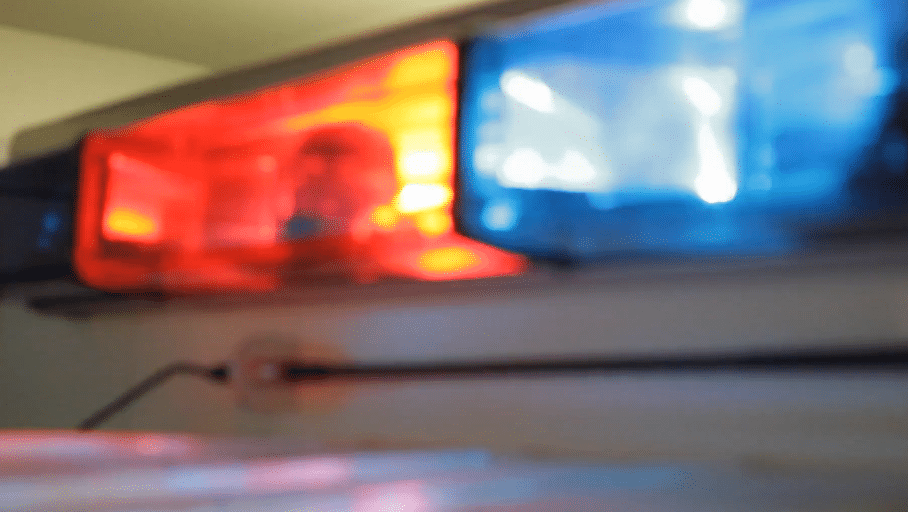 police bust
