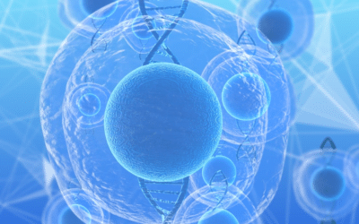 Pre-Puberty CBC Exposure Negatively Impacts Fertility