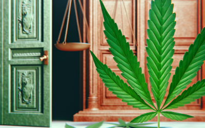 9 Things Everyone Should Know About Cannabis
